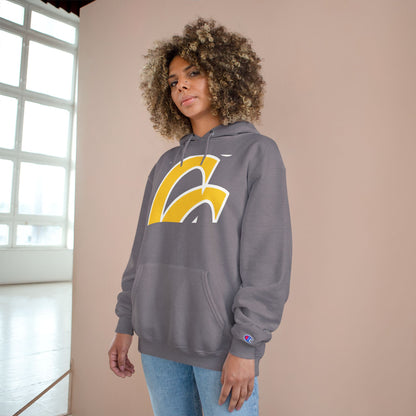 Champion Powerblend Fleece Pullover Hoodie