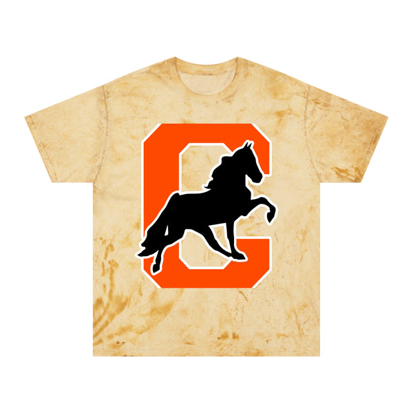 Color Blast School Spirit Tee