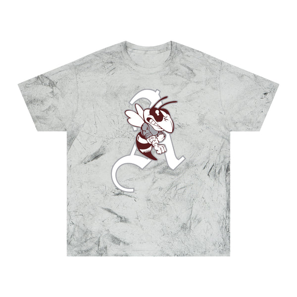 Color Blast School Spirit Tee
