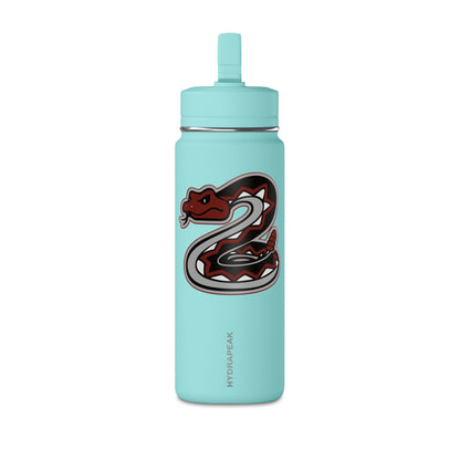 Mini Water Bottle, 20oz