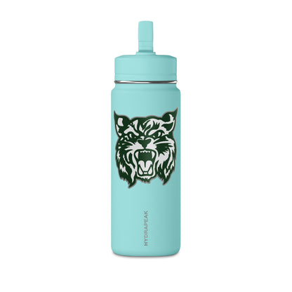 Mini Water Bottle, 20oz