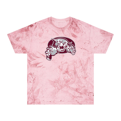 Color Blast School Spirit Tee