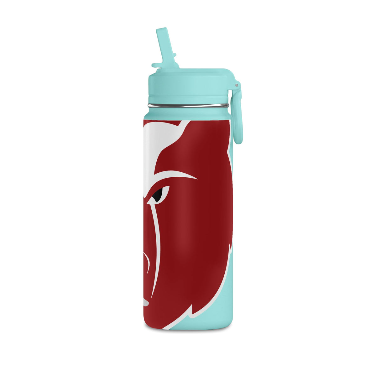 Mini Water Bottle, 20oz