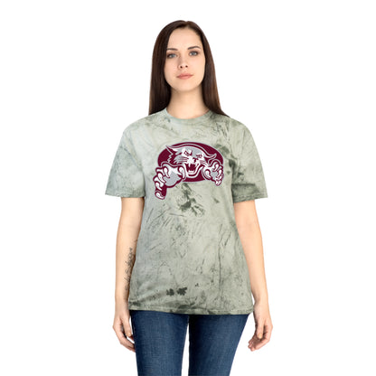 Color Blast School Spirit Tee