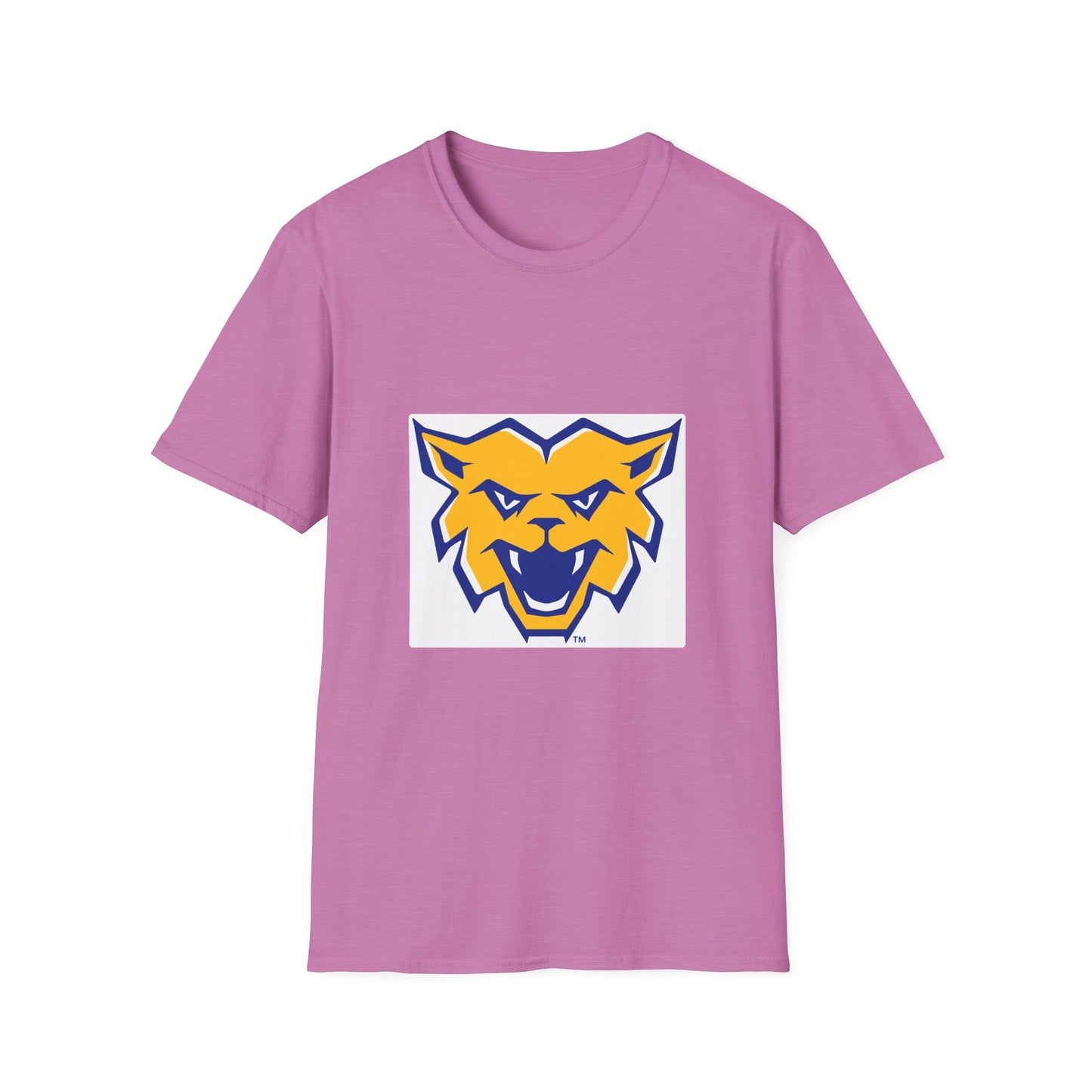 Softstyle T-Shirt