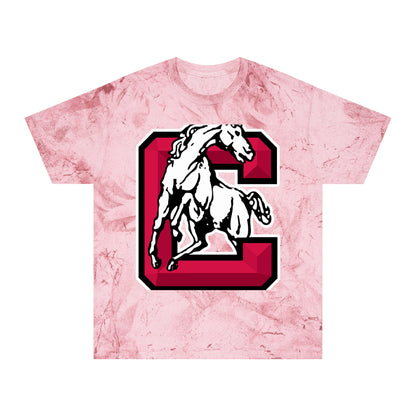 Color Blast School Spirit Tee