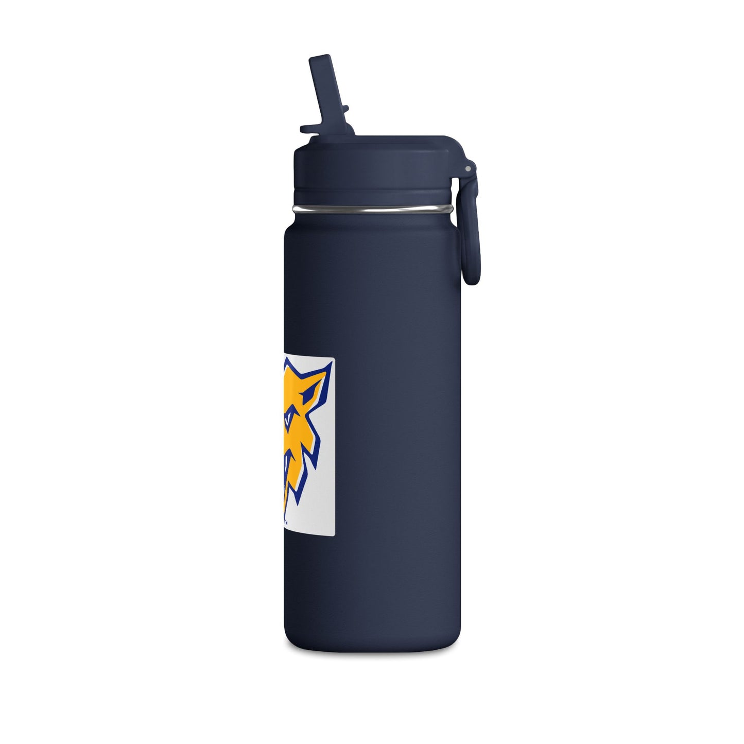 Mini Water Bottle, 20oz