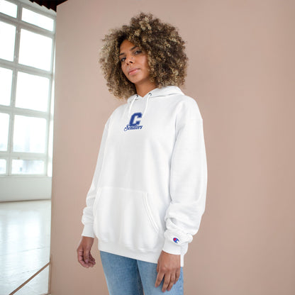 Champion Powerblend Fleece Pullover Hoodie