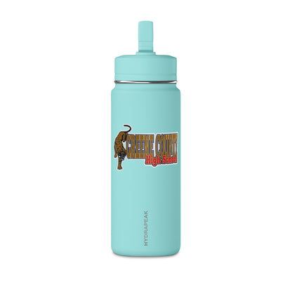 Mini Water Bottle, 20oz