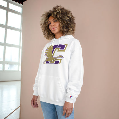 Champion Powerblend Fleece Pullover Hoodie