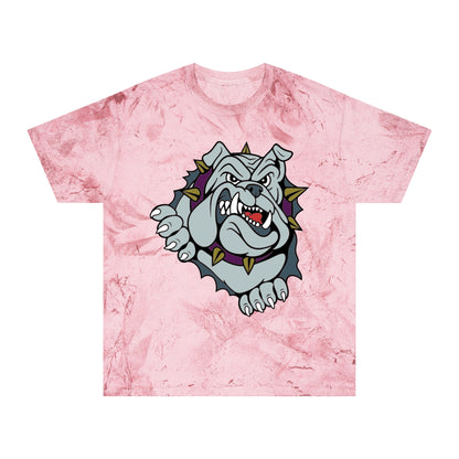 Color Blast School Spirit Tee
