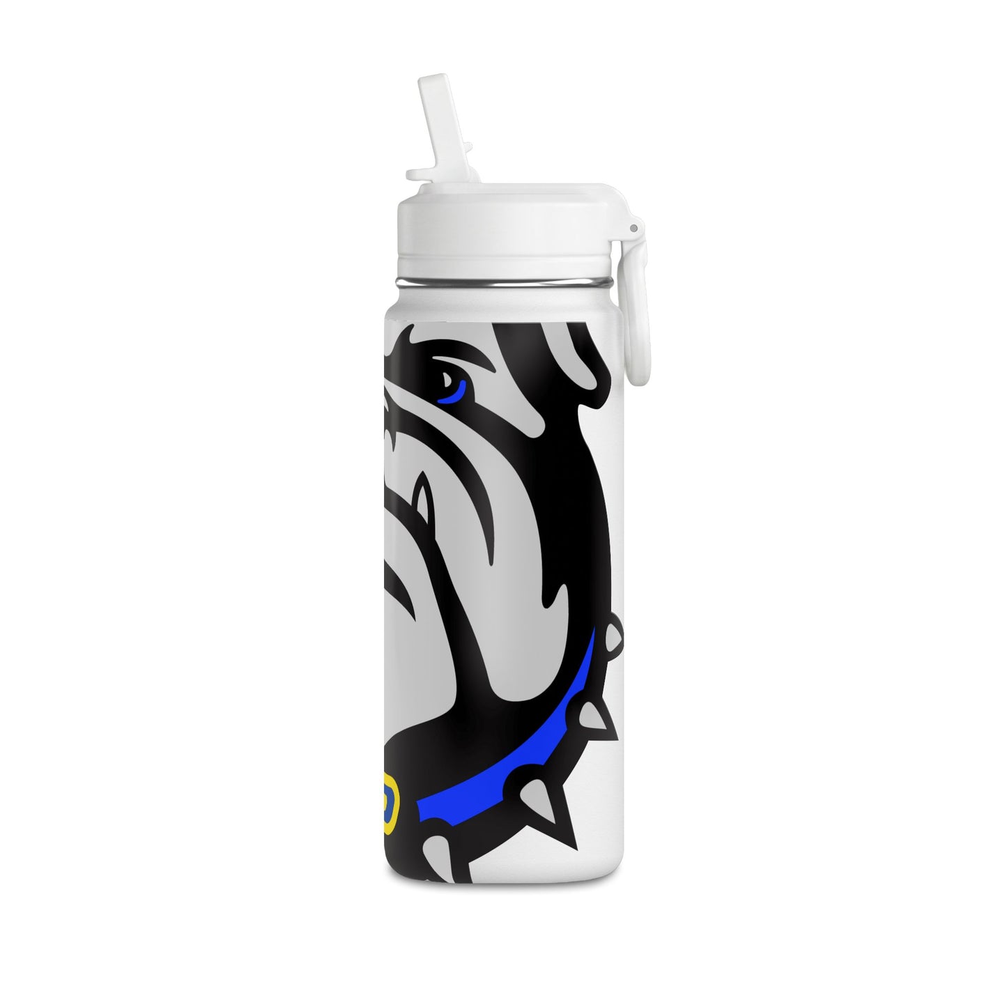 Mini Water Bottle, 20oz