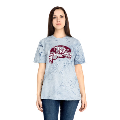 Color Blast School Spirit Tee