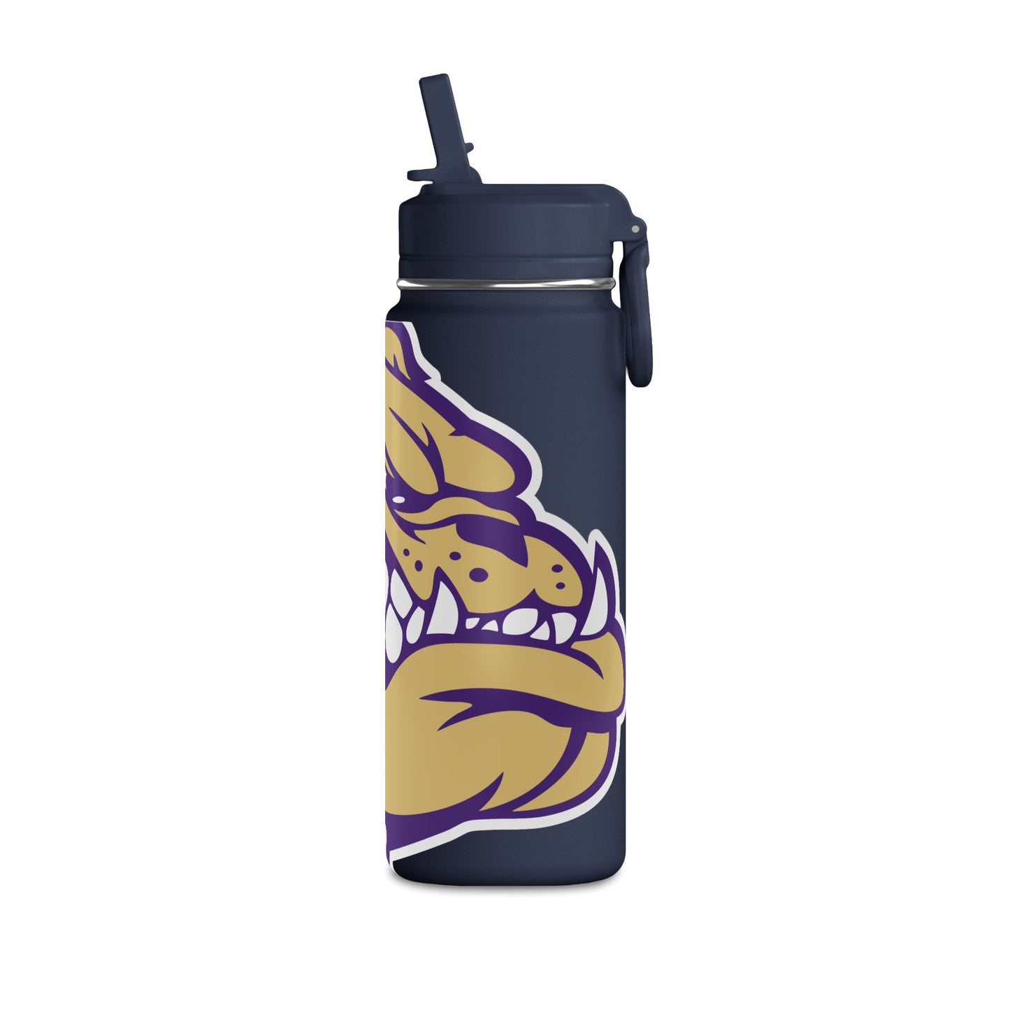 Mini Water Bottle, 20oz