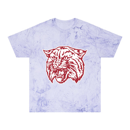 Color Blast School Spirit Tee
