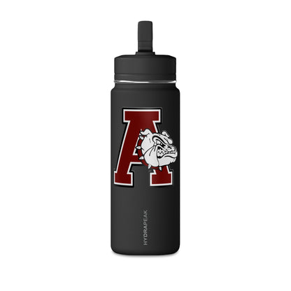 Mini Water Bottle, 20oz