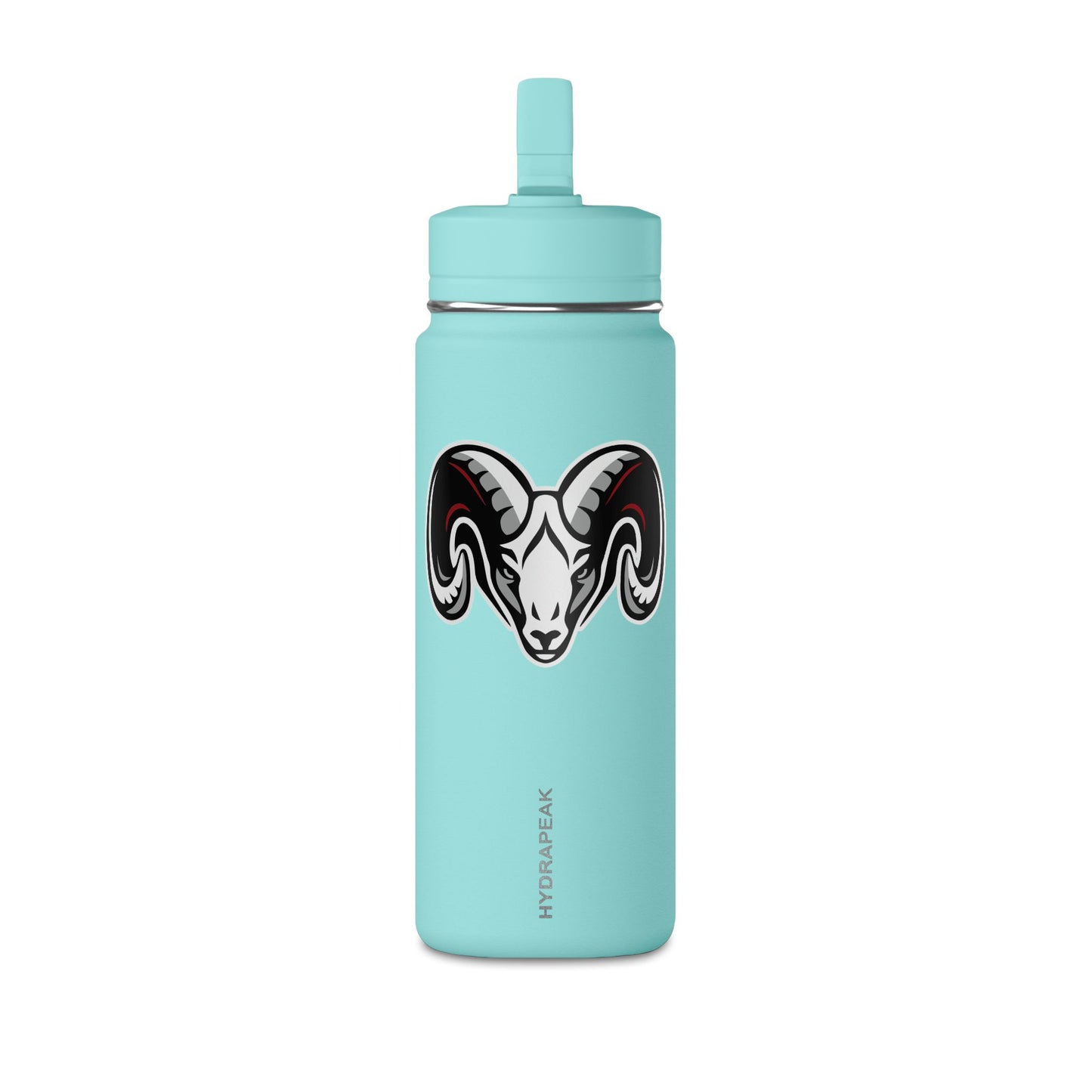 Mini Water Bottle, 20oz