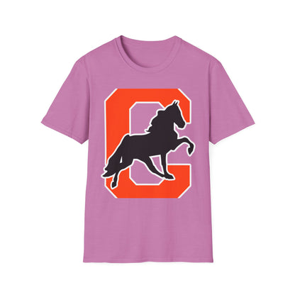 Softstyle T-Shirt
