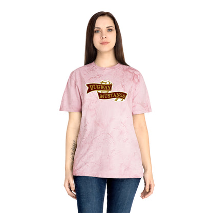 Color Blast School Spirit Tee