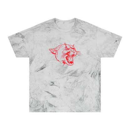 Color Blast School Spirit Tee