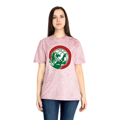 Color Blast School Spirit Tee