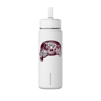 Mini Water Bottle, 20oz