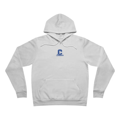 Sponge Fleece Pullover Hoodie