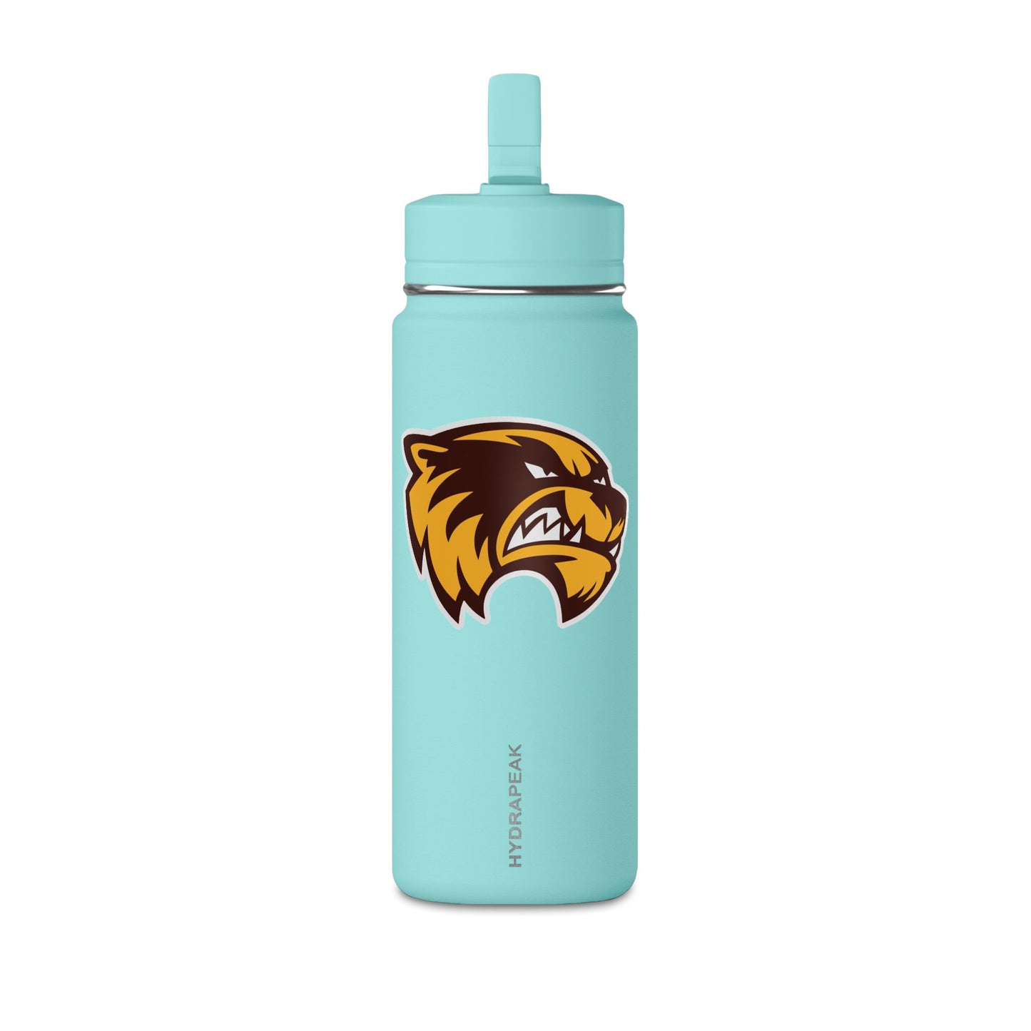 Mini Water Bottle, 20oz
