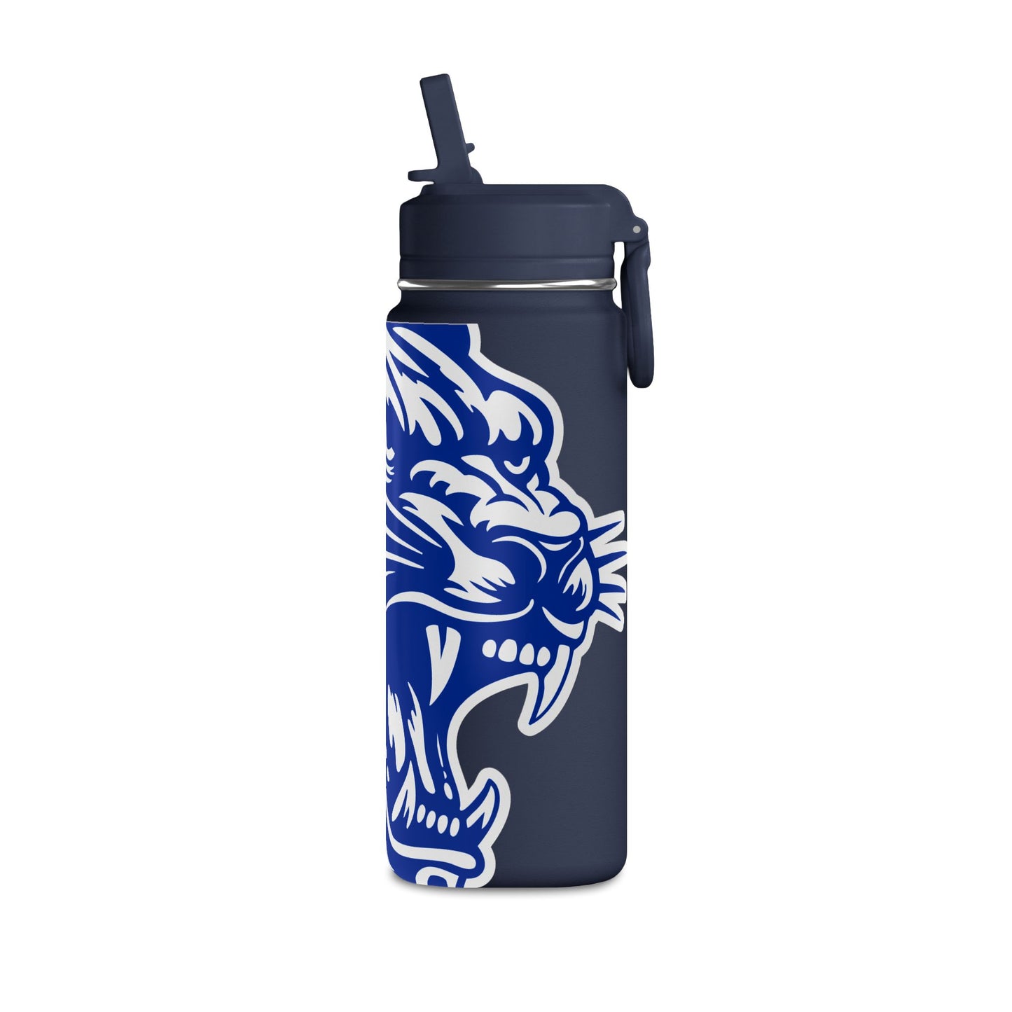 Mini Water Bottle, 20oz