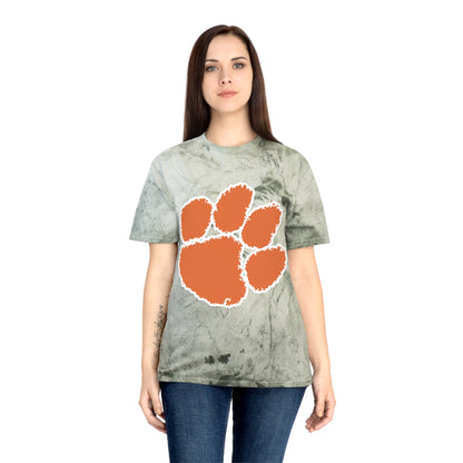 Color Blast School Spirit Tee
