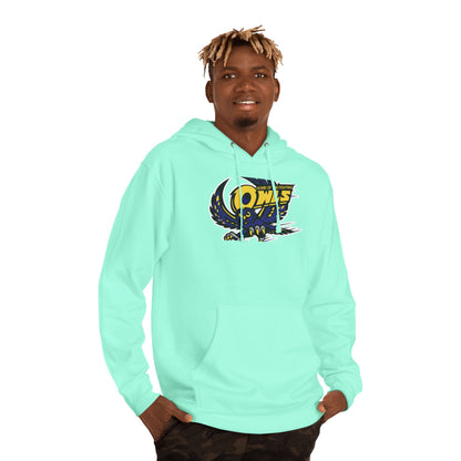 Midweight Pullover Hoodie