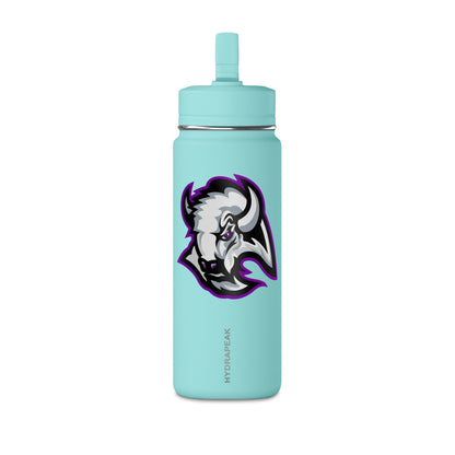 Mini Water Bottle, 20oz