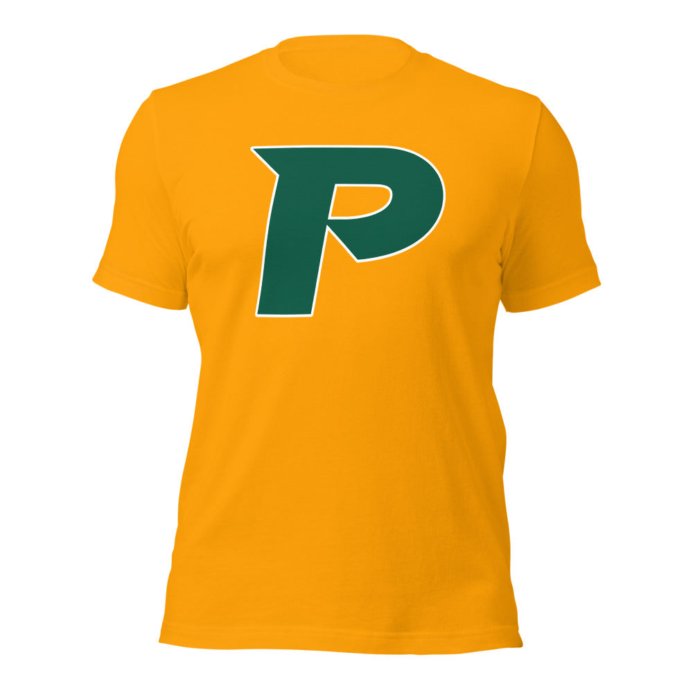 Pelham High School Design 17 — Gold
