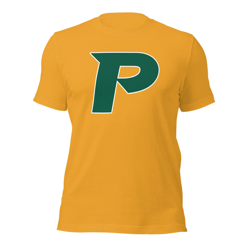 Pelham High School Design 17 — Mustard