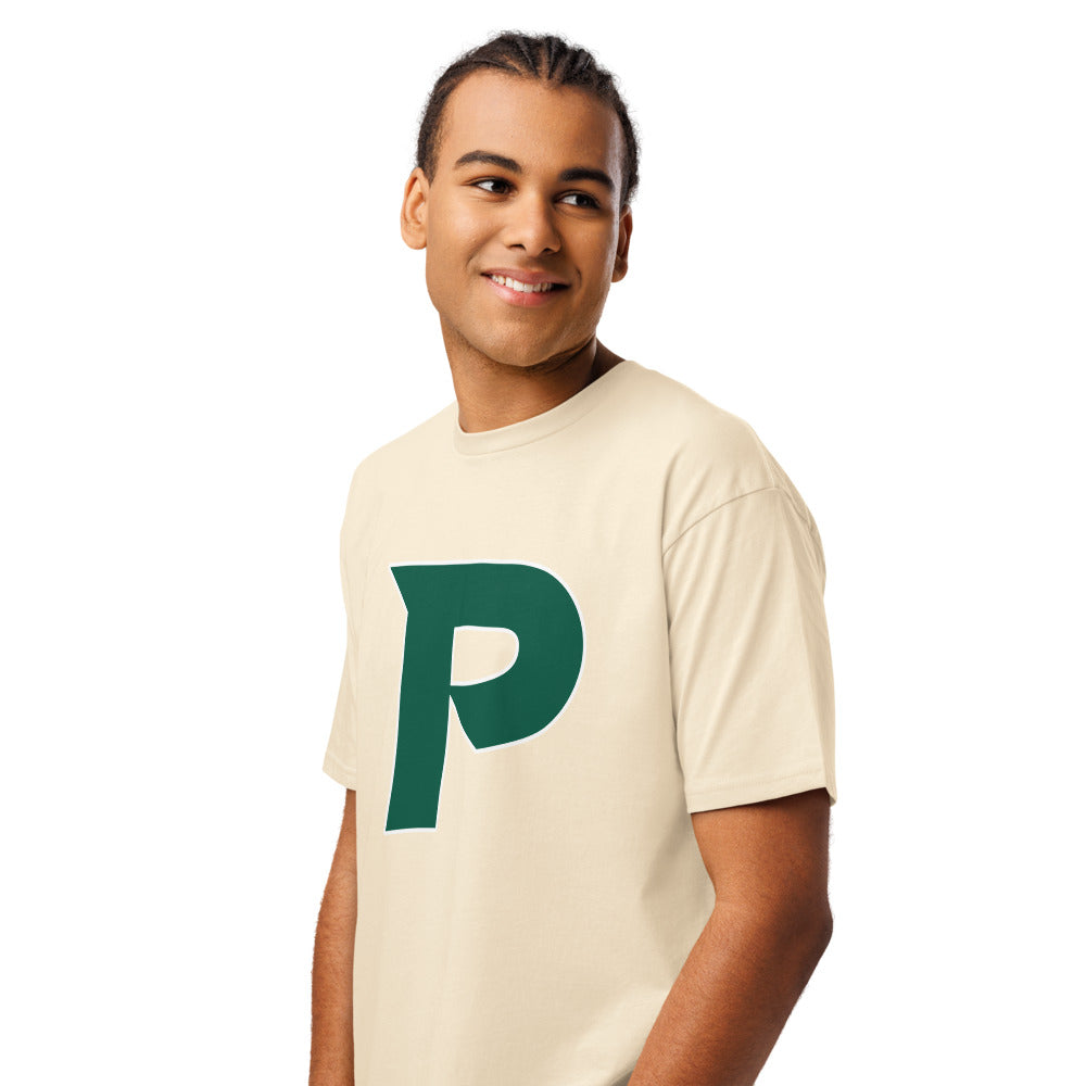 Pelham High School Design 17 — Vintage White