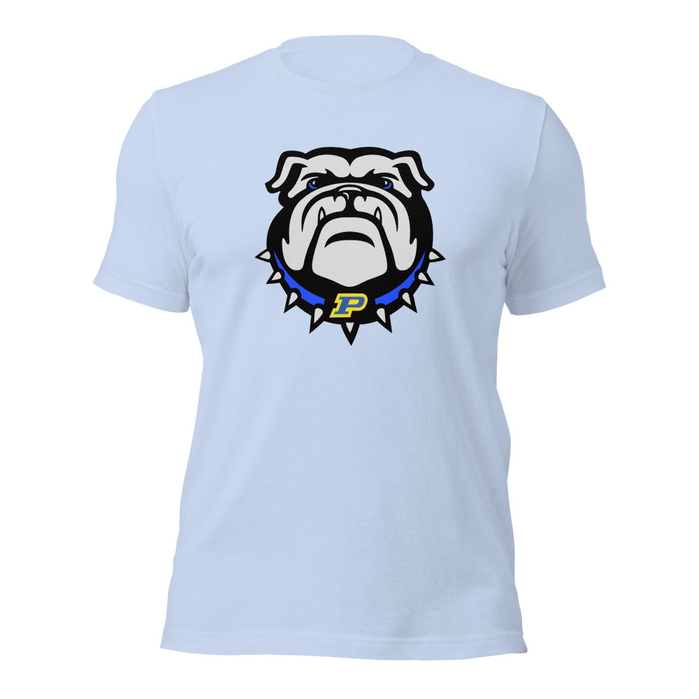 Piedmont High School Design 1 — Baby Blue