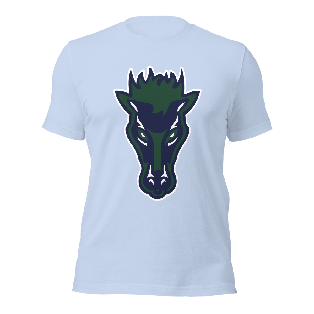Damonte Ranch High School Design 1 — Baby Blue