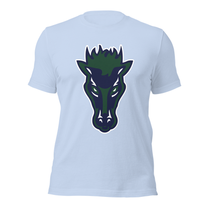 Damonte Ranch High School Design 1 — Baby Blue