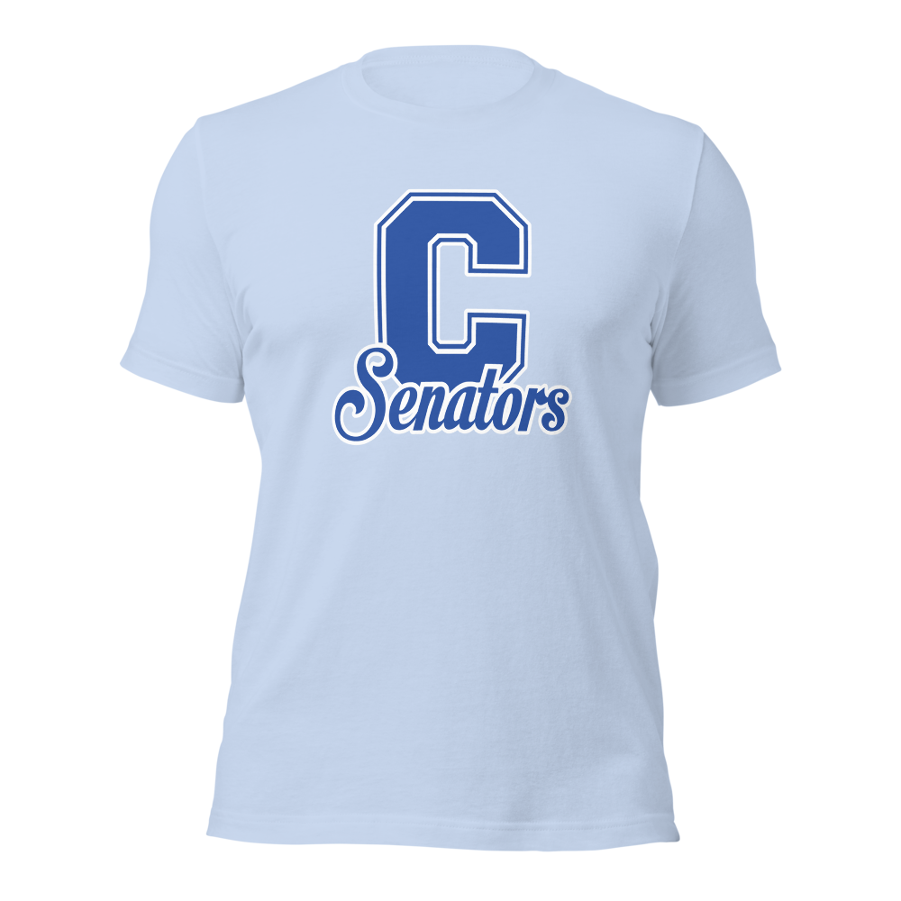 Carson High School Design 1 — Baby Blue