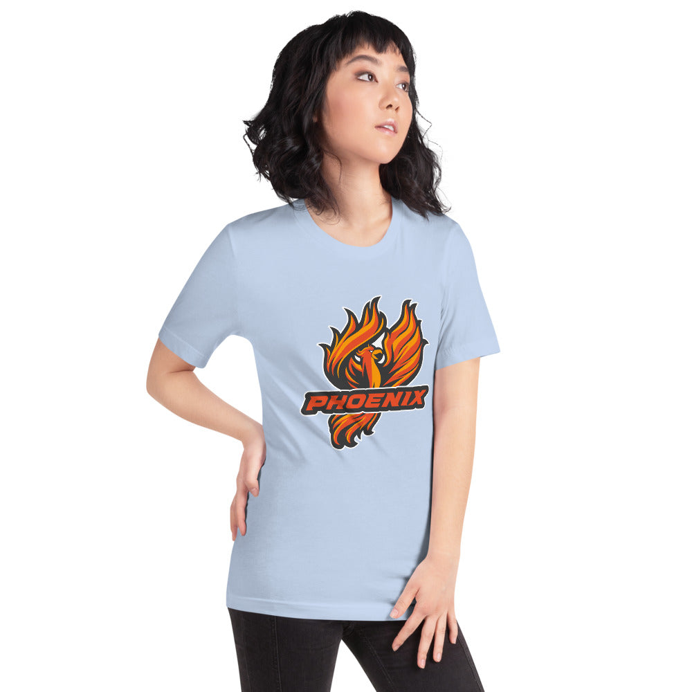 Percy Julian High School Design 1 — Baby Blue