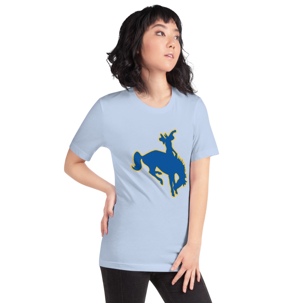 Albert M. Lowry High School Design 1 — Baby Blue