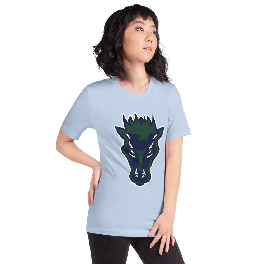 Damonte Ranch High School Design 1 — Baby Blue
