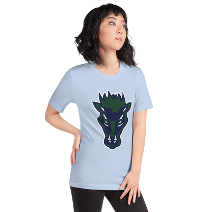 Damonte Ranch High School Design 1 — Baby Blue