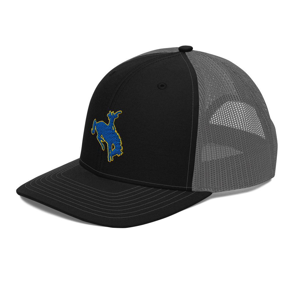 Albert M. Lowry High School Design 1 — Black / Charcoal