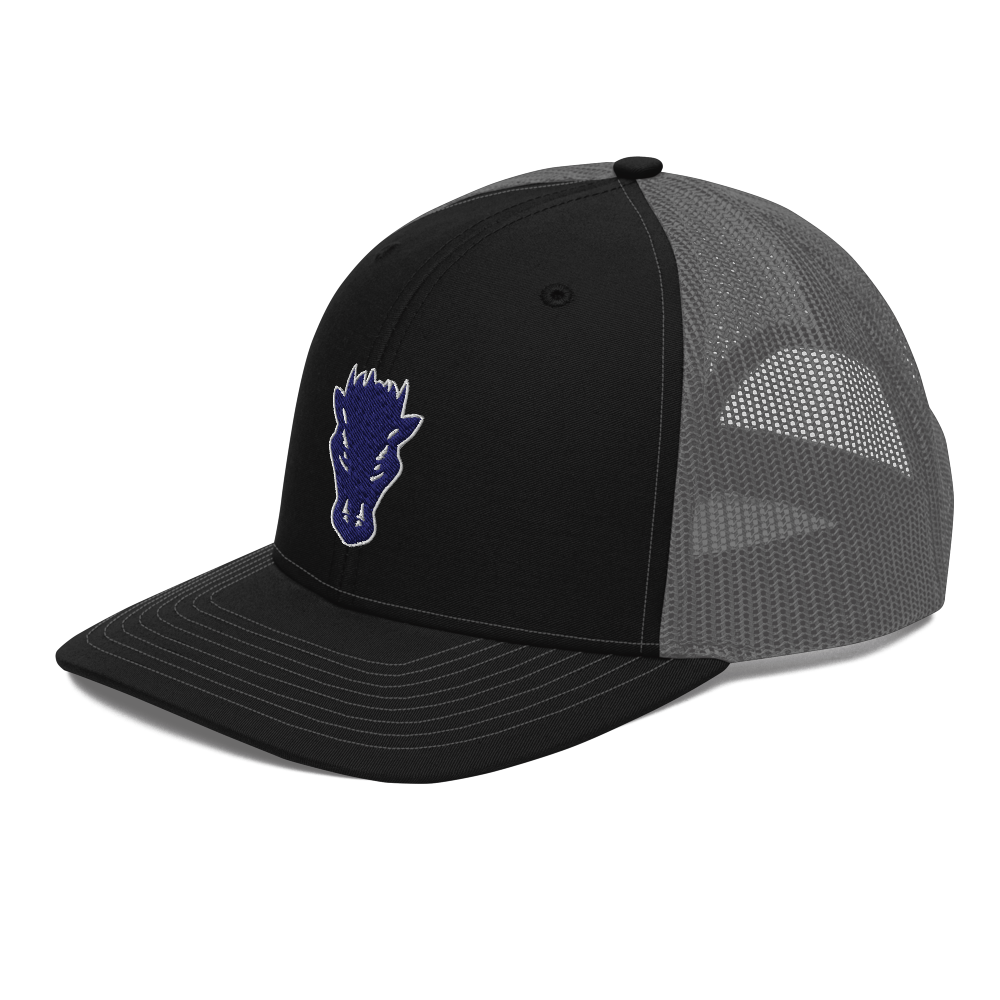Damonte Ranch High School Design 1 — Black / Charcoal