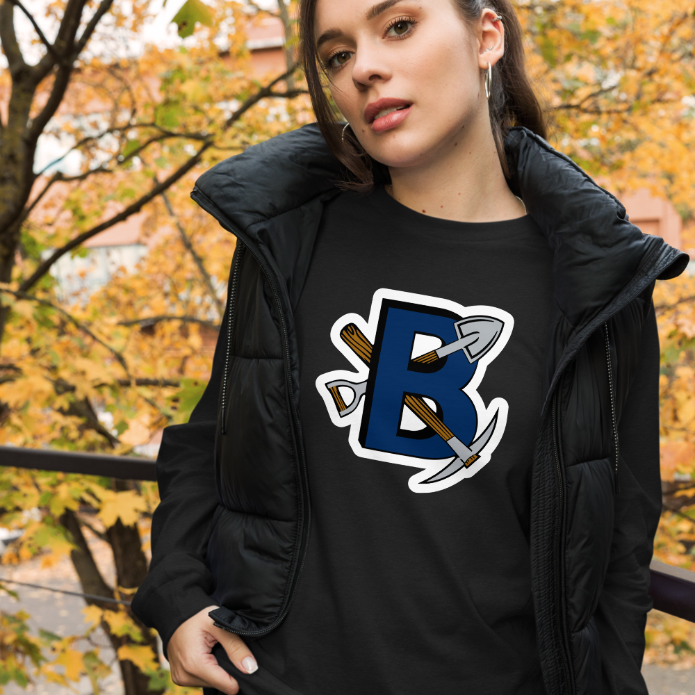 Bingham High School Design 1 — Black Heather