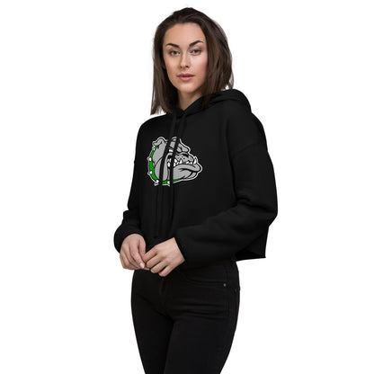 Ashville High School Design 1 — Black