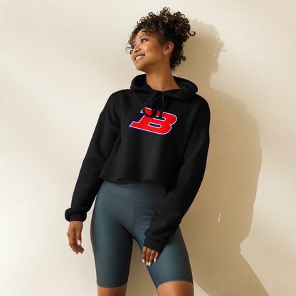 Albert P. Brewer High School Design 1 — Black