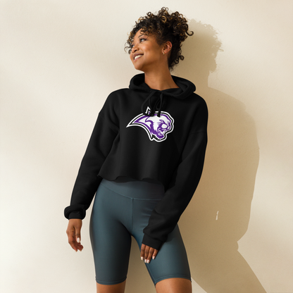Spanish Springs High School Design 1 — Black