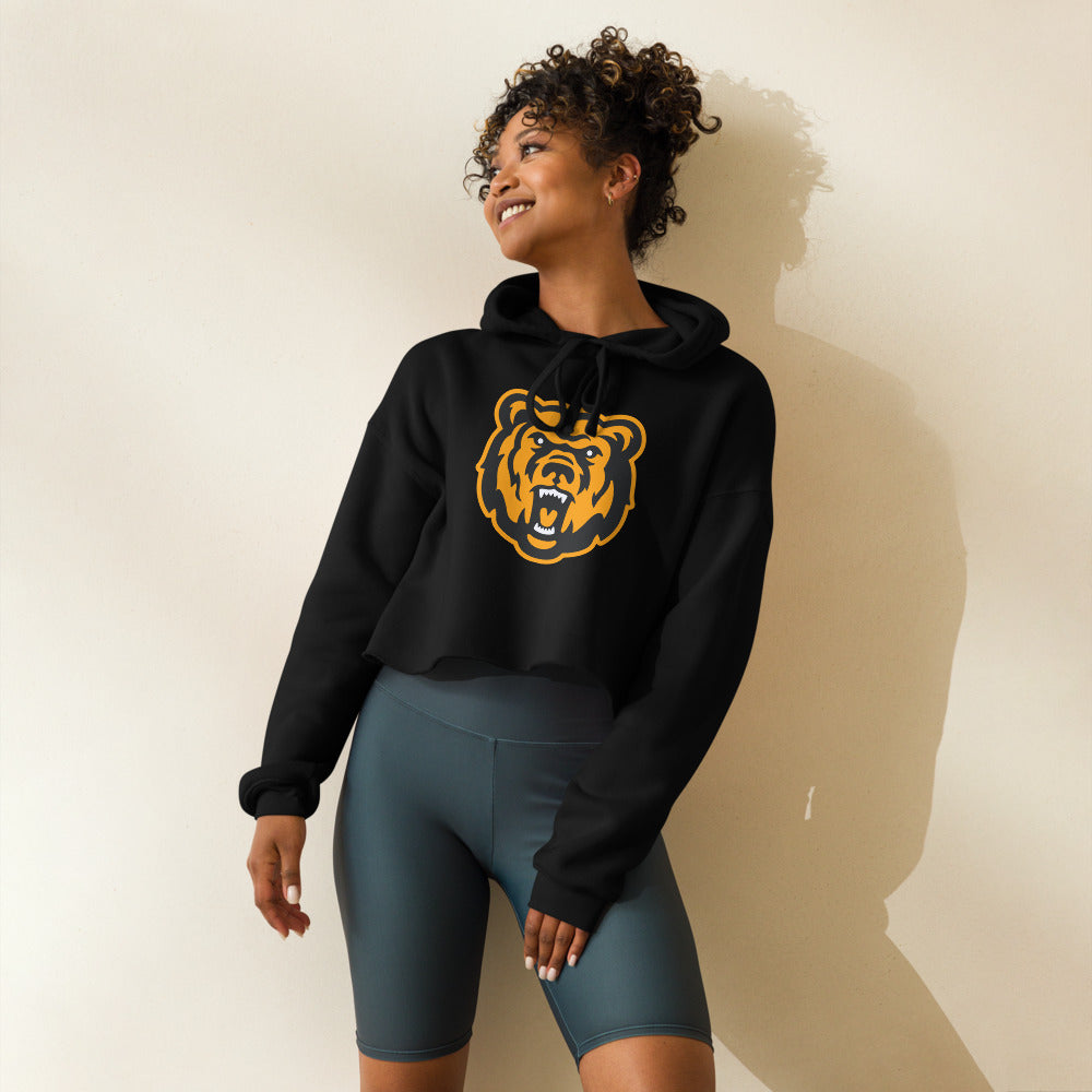 Leroy High School Design 1 — Black